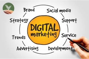 Digital Marketing - Branding